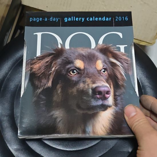  Dog里边是讲英文日历的啊，讲英文日。