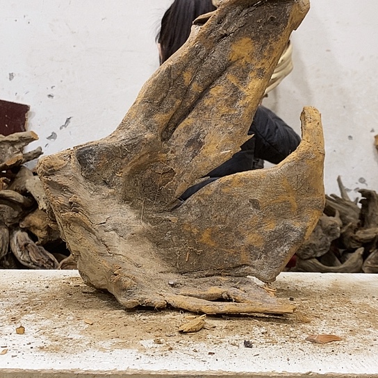 五***公柏木我们都是好孩子