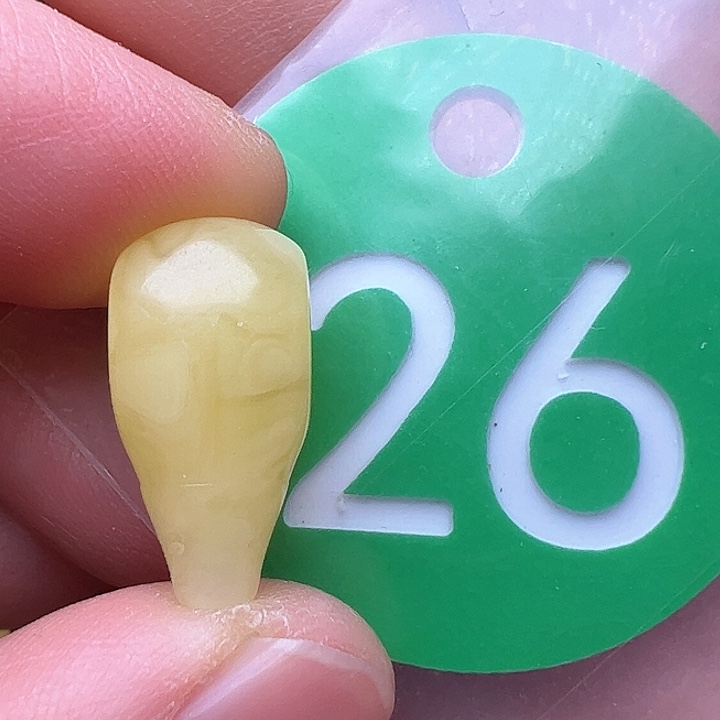 蜜蜡裸石未镶嵌9.2m m