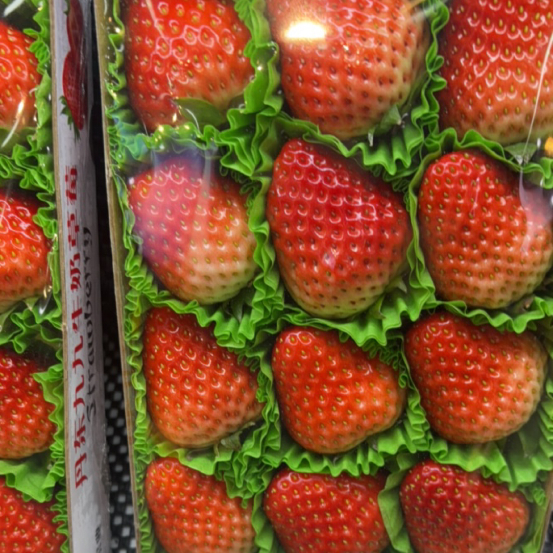 丹东奶油草莓 1盒