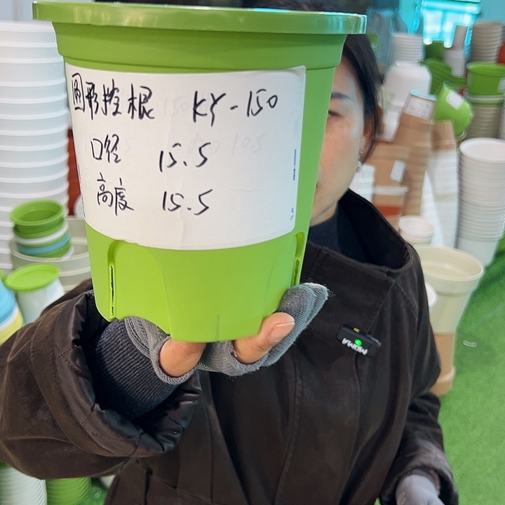 正品圆控口15高15果绿无托10只