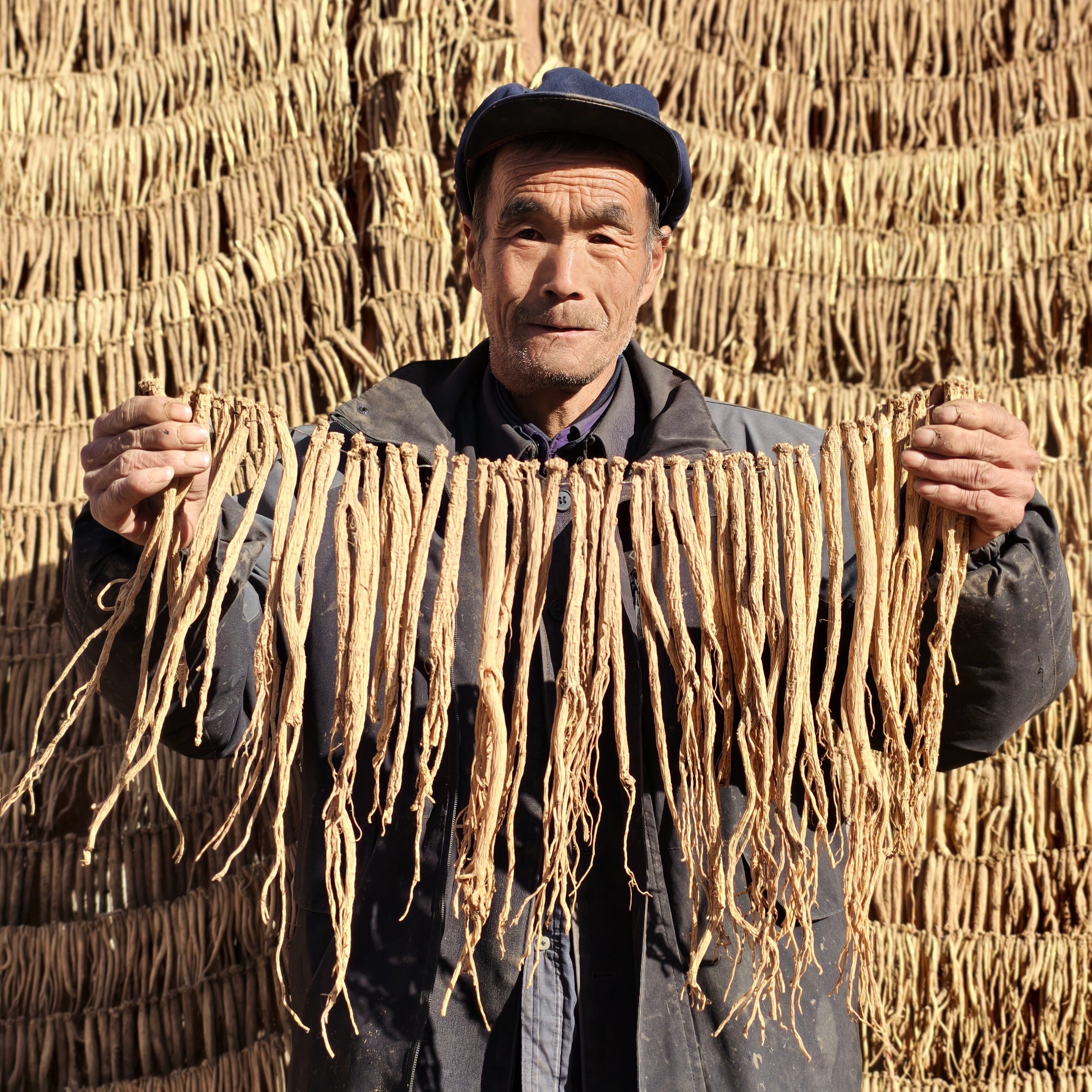 甘肃产地(小条)无硫党参干货自然晾晒煲汤泡水炖鸡食材