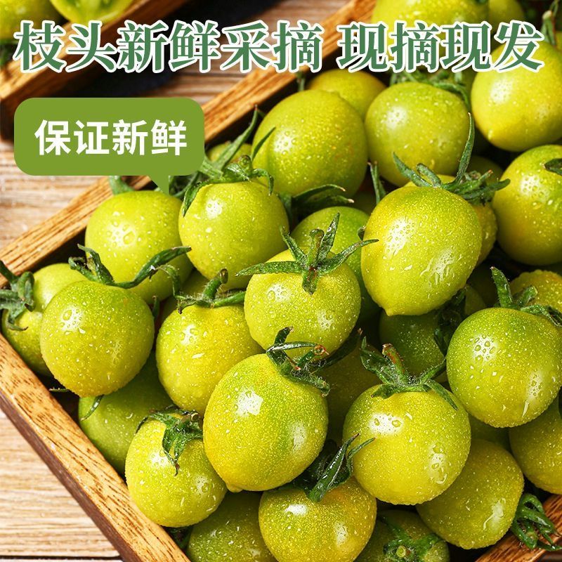 ⌈顺丰⌋正宗青甜二号小番茄下单现摘产地直发坏果包赔缺重包赔