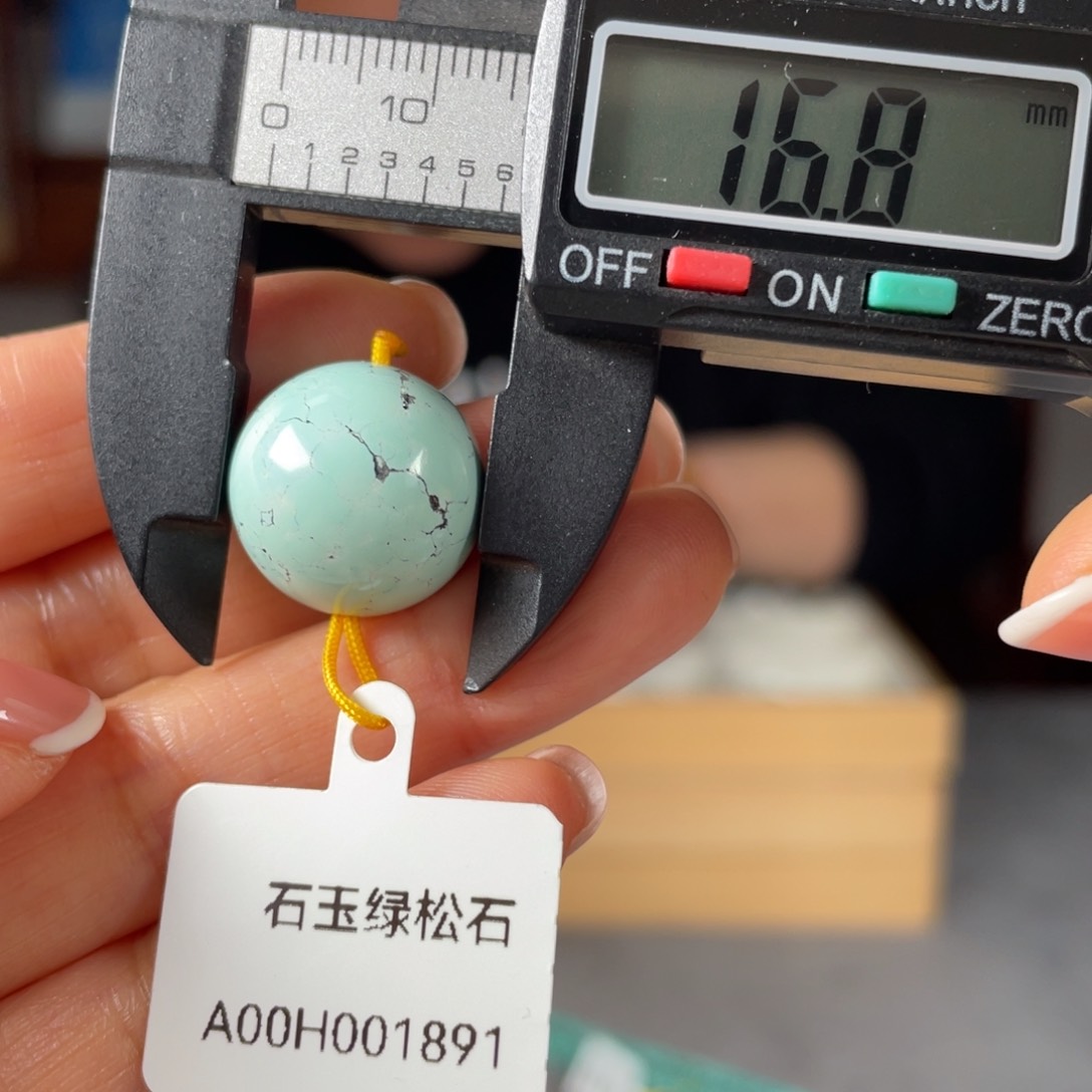 绿松石未镶嵌颈饰