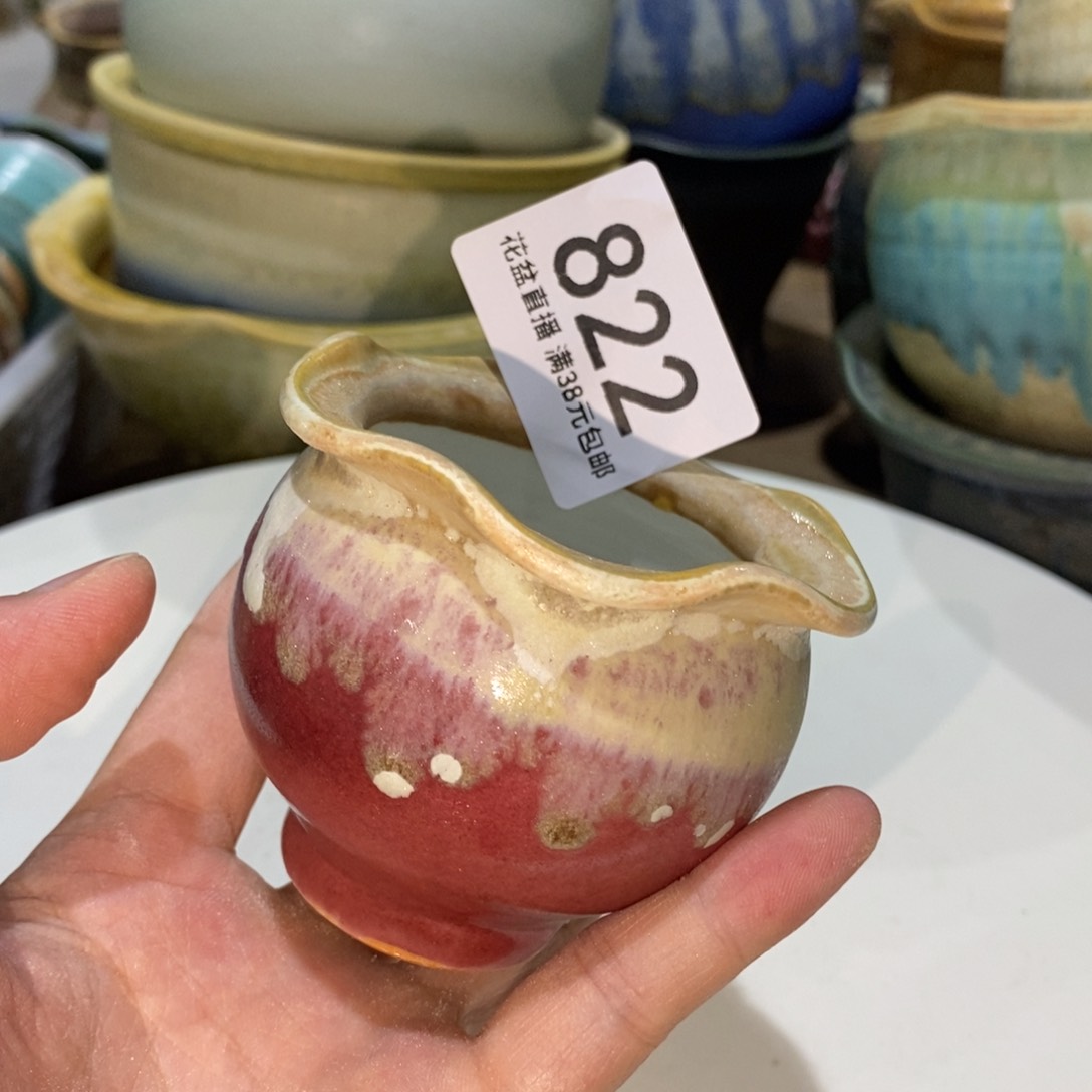 花盆花盆花盆花盆