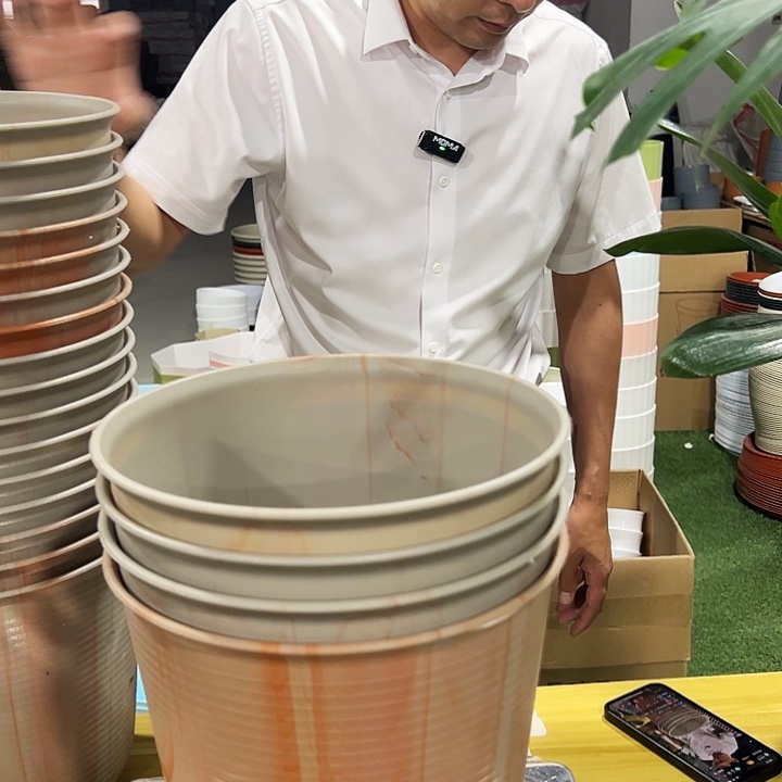 高陶口24高24灰白串色无托4只