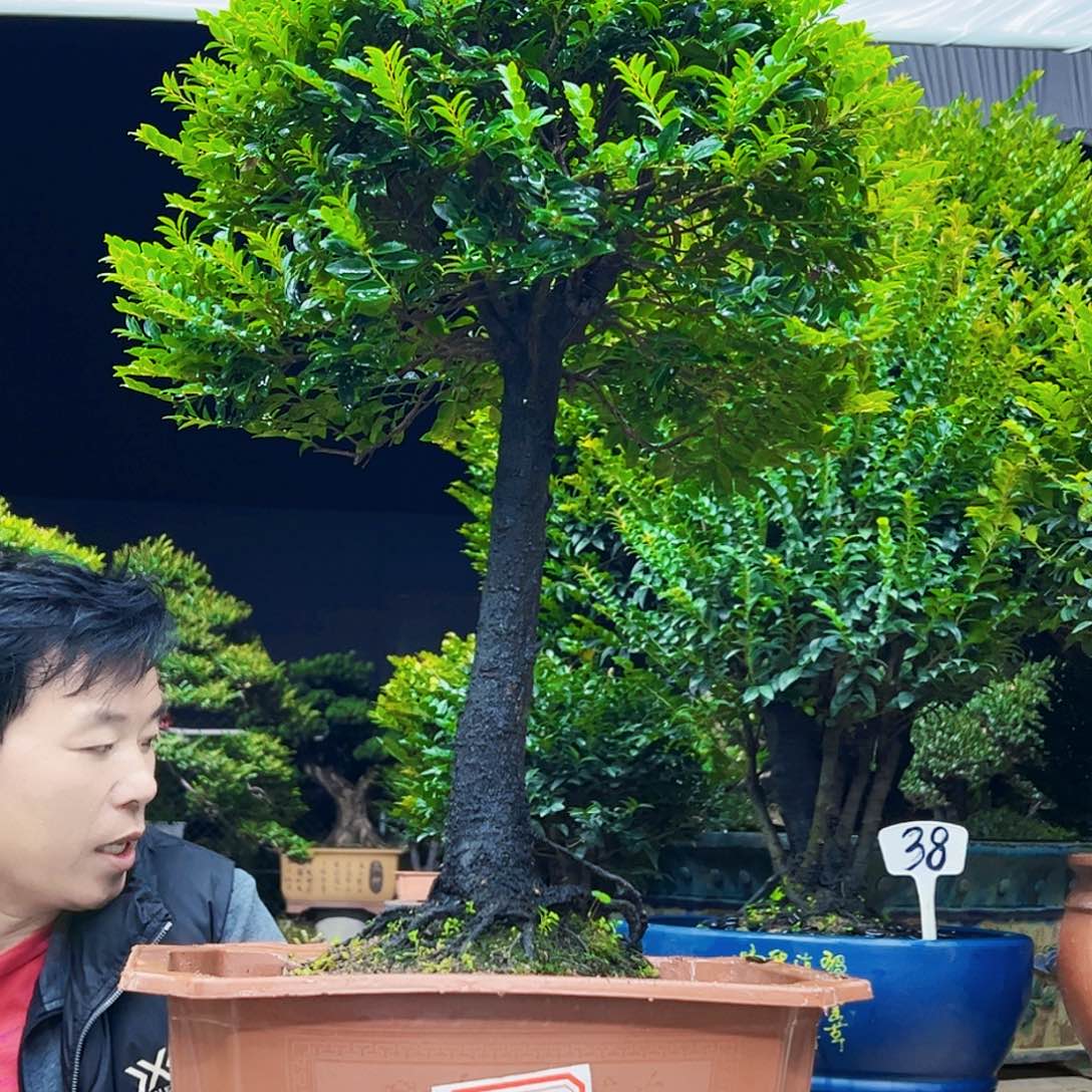 以实际为准朗**生12345678