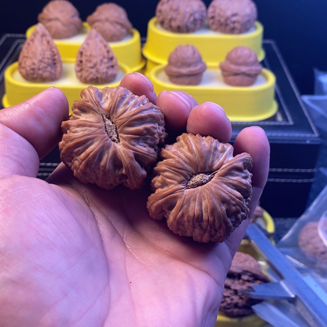 名***饰44全品白狮子， ， ， 