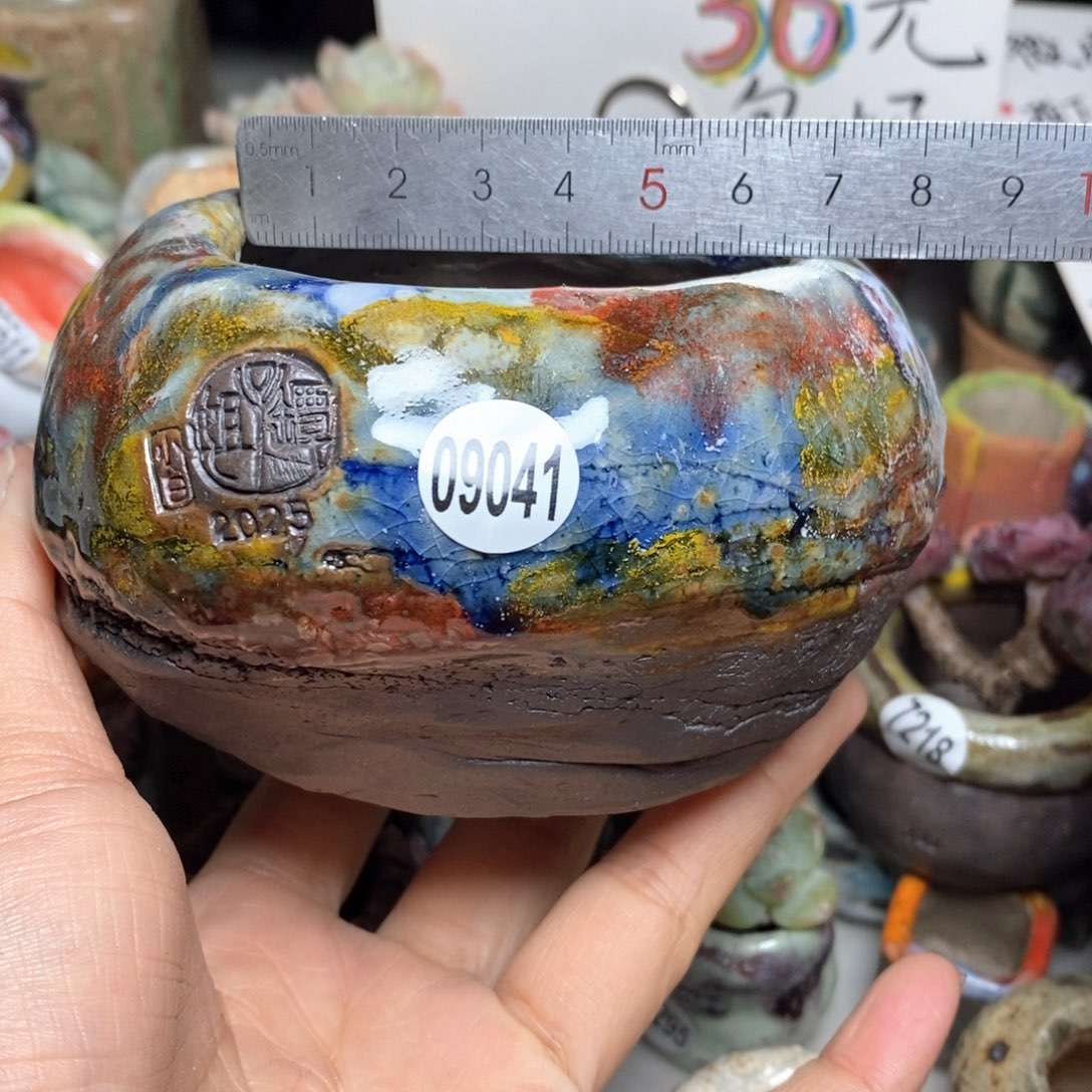 花盆拍3送一个小礼物