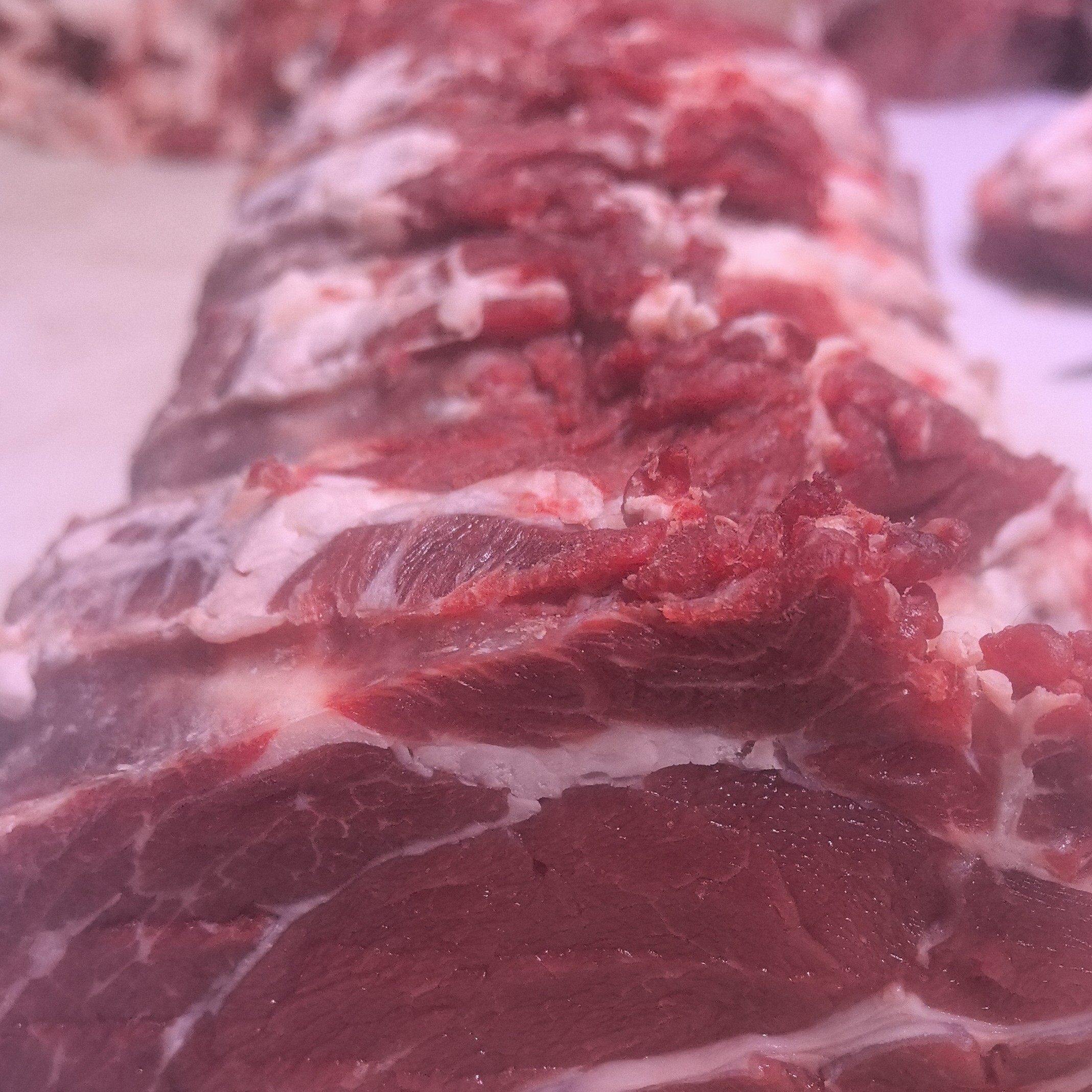 鲜肉专属链接  现场选肉
