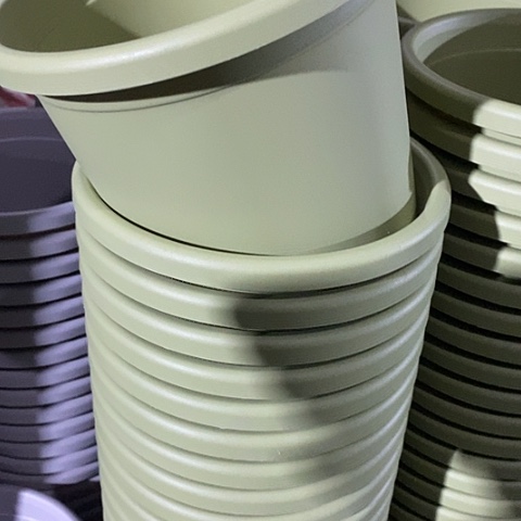 树脂四季2号果绿无托6个