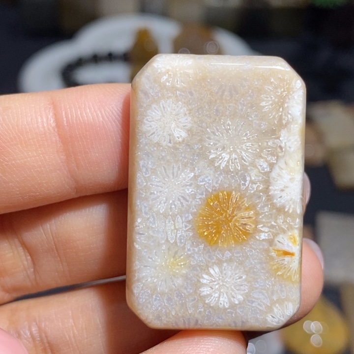 【闪购商品】未镶嵌珊瑚玉硅化玉