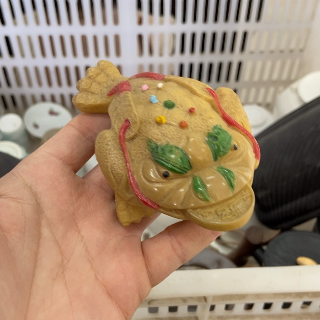 杯直播链接直播链接