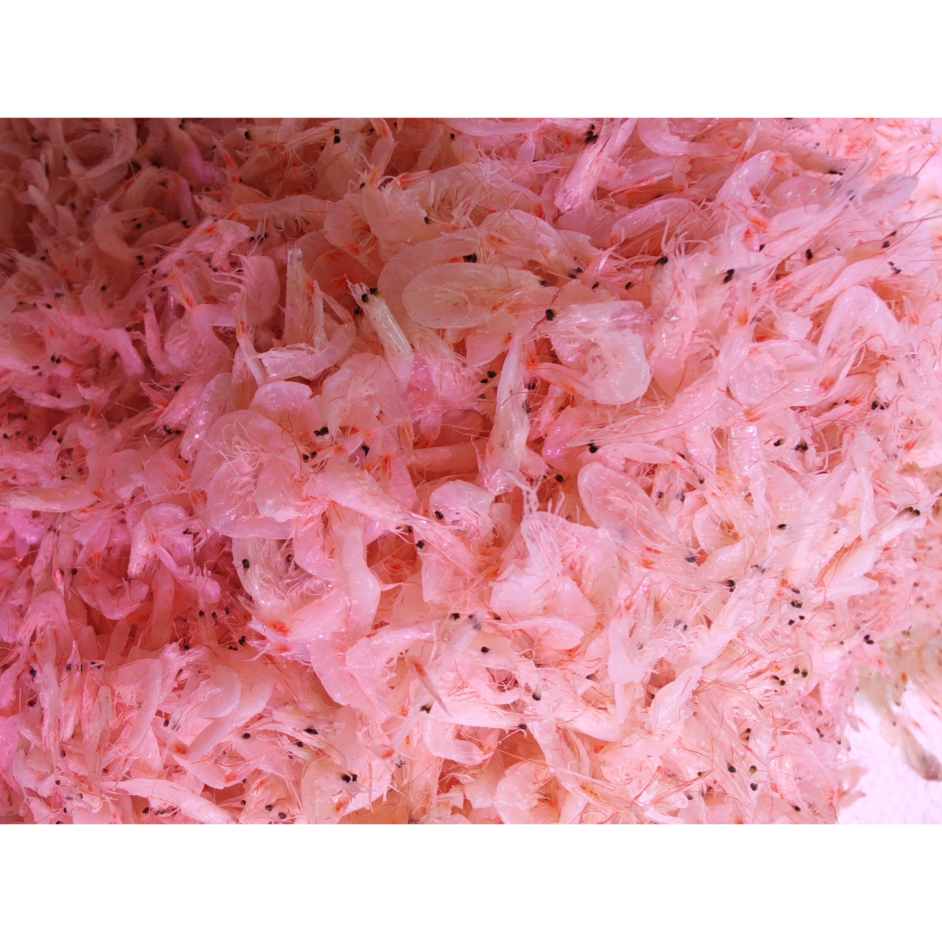 新货生晒咸虾皮即食海鲜零食煲汤调味优质虾皮