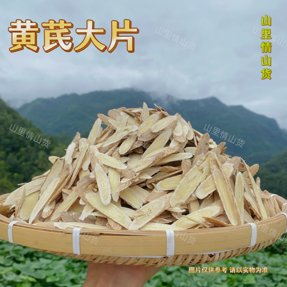 太阳姐姐 - 黄芪大片