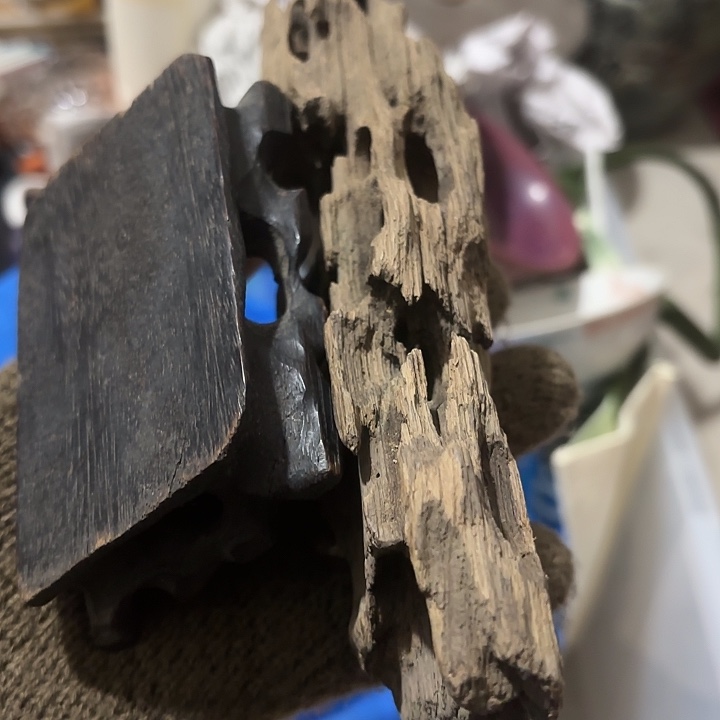 七***安杂色豆（科檀/科特迪瓦檀木）