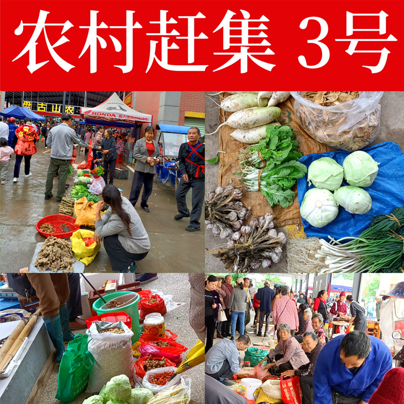 江西赣南乡下农村应季新鲜健康搭配蔬菜清洗农家菜250克~2500克