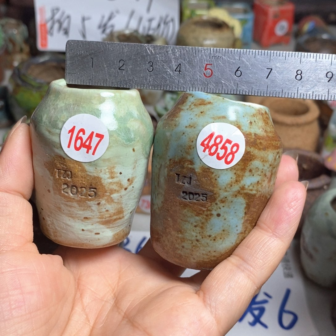 处理的，处理的，处理