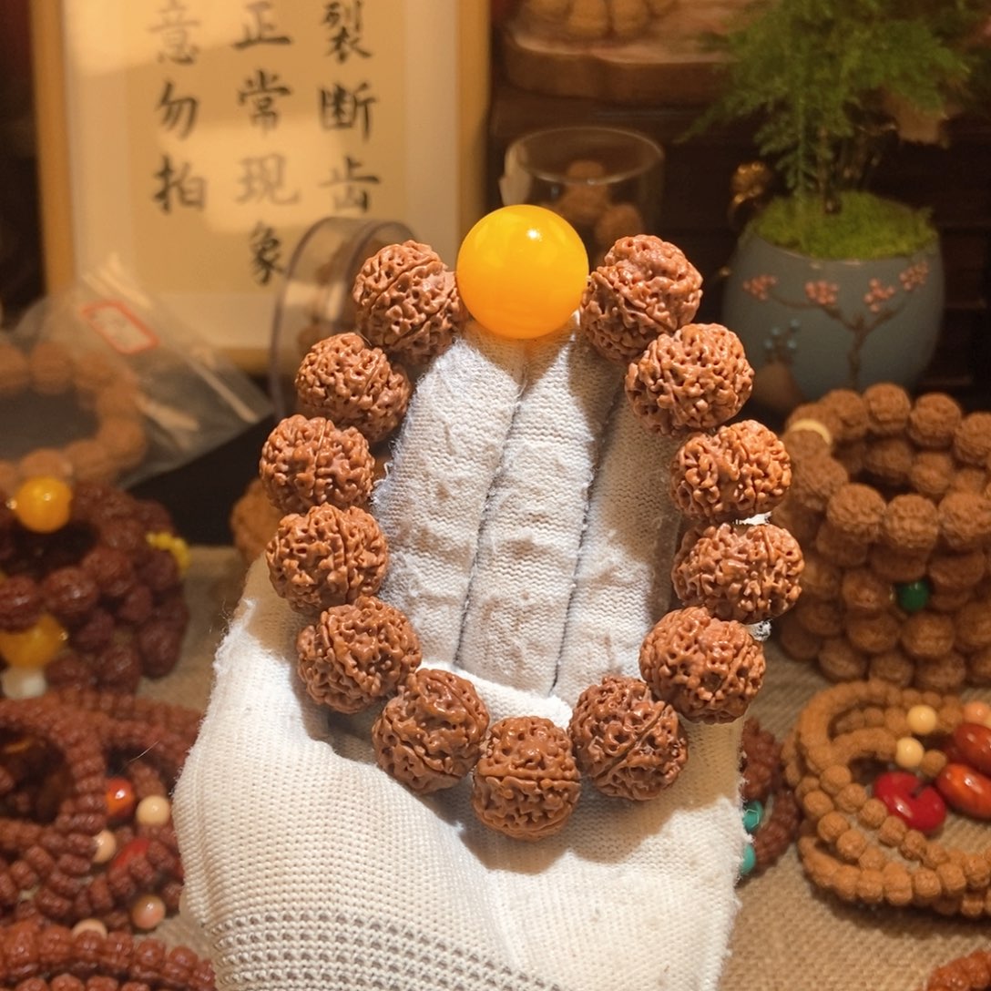 金刚菩提吊坠216原籽