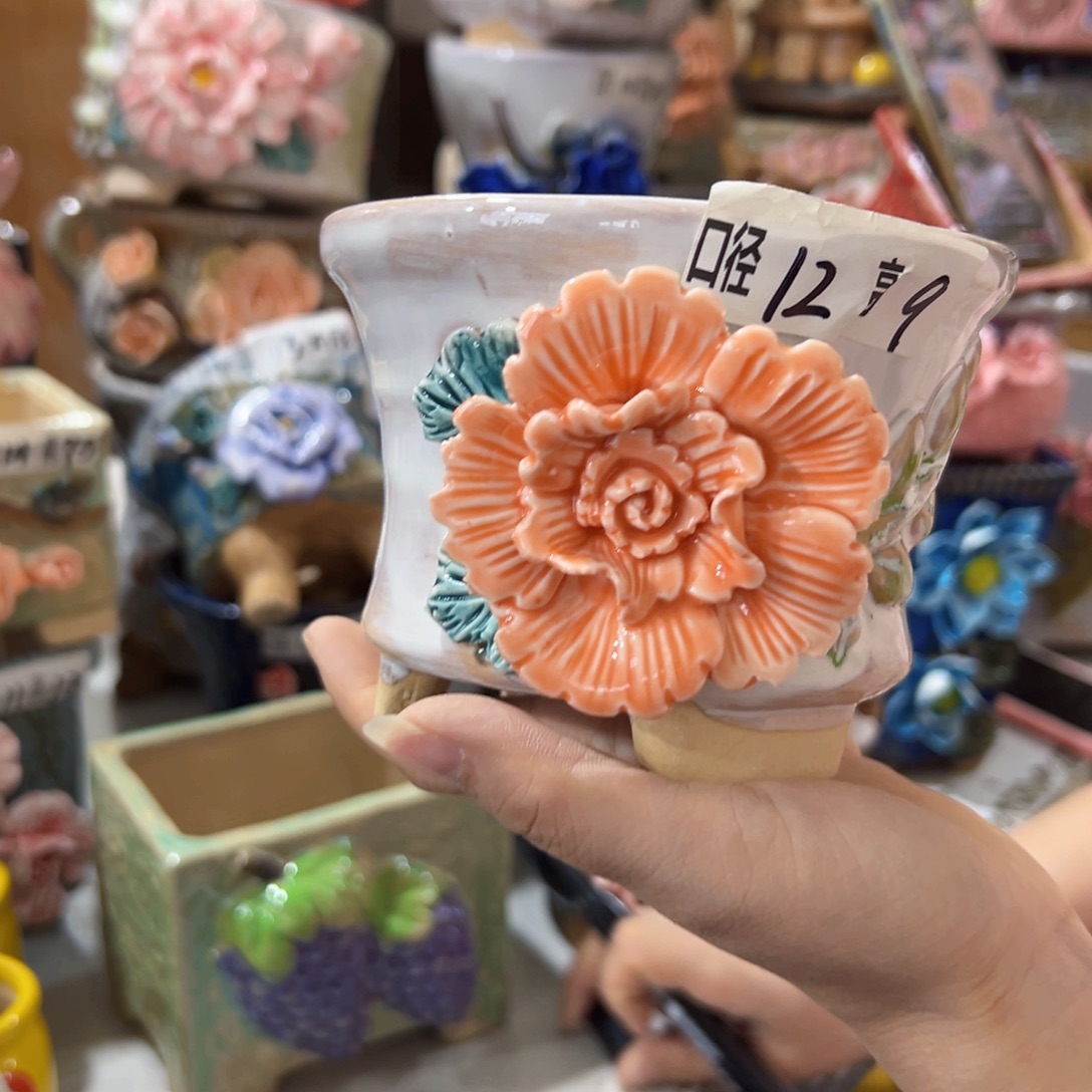本场满100送一个花盆