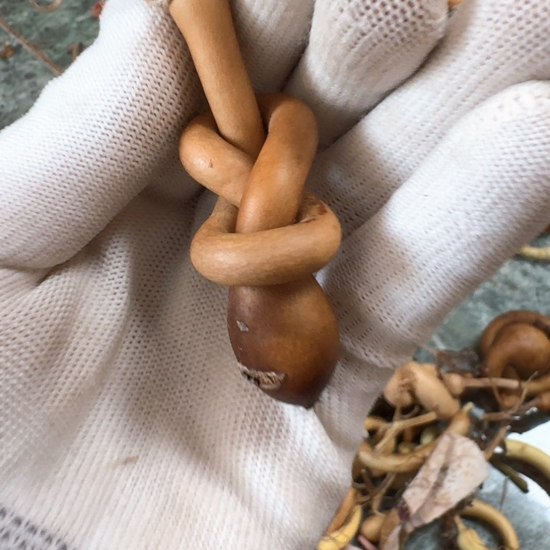 哈哈哈哈哈哈哈哈哈哈哈哈