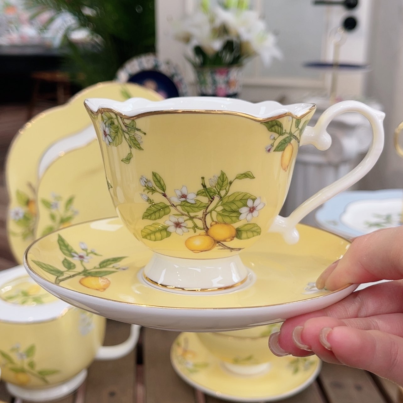 【闪购商品】瓷片———————————1–