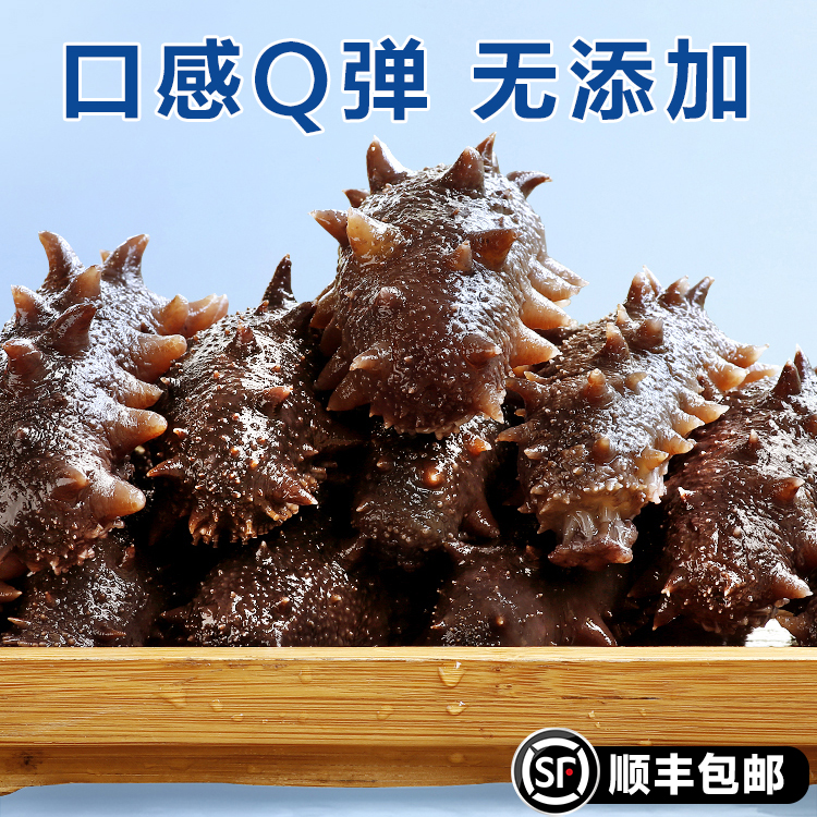 渤海湾即食海参辽刺参12-14头顺丰包邮送货上门