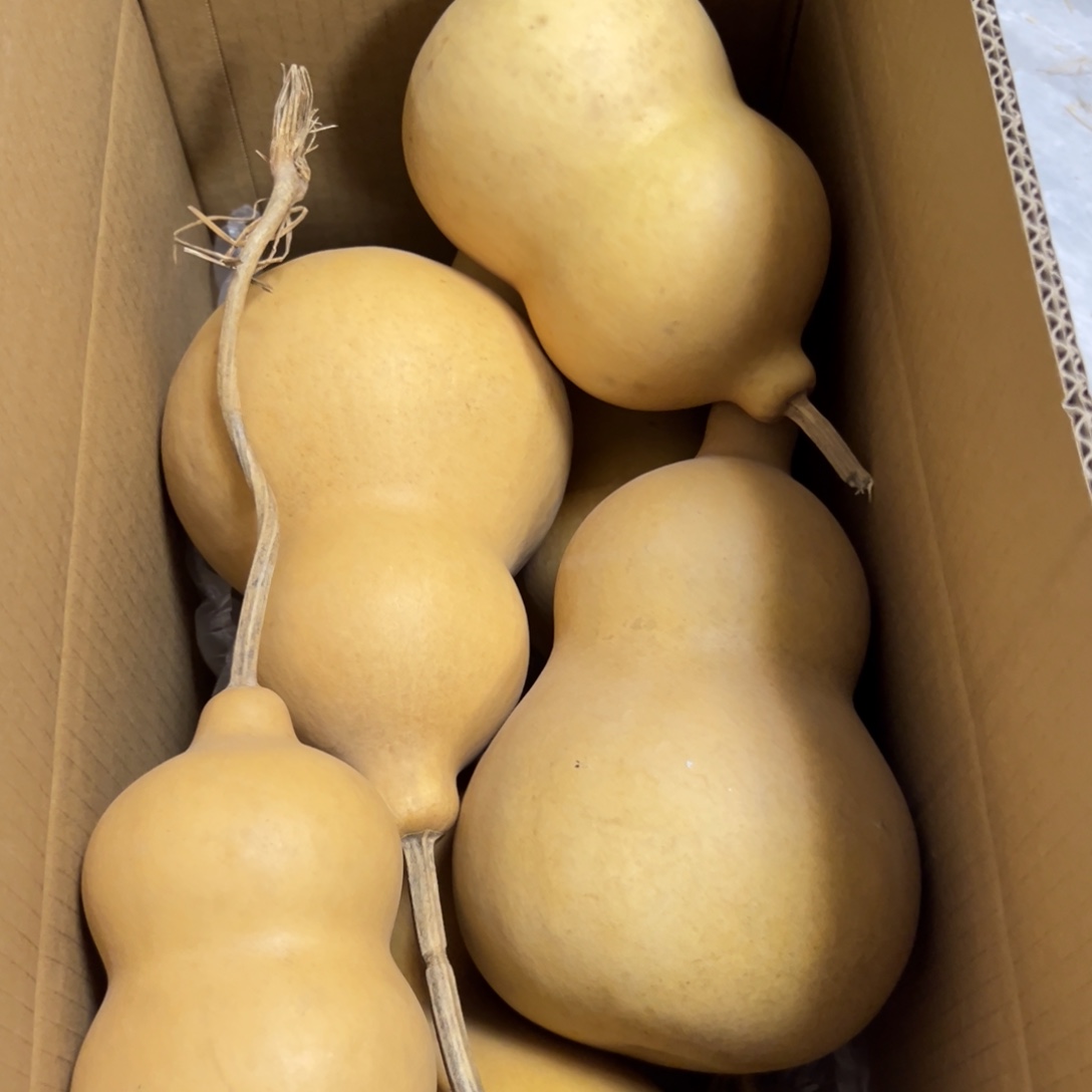 曦***有机玻璃葫芦葫芦