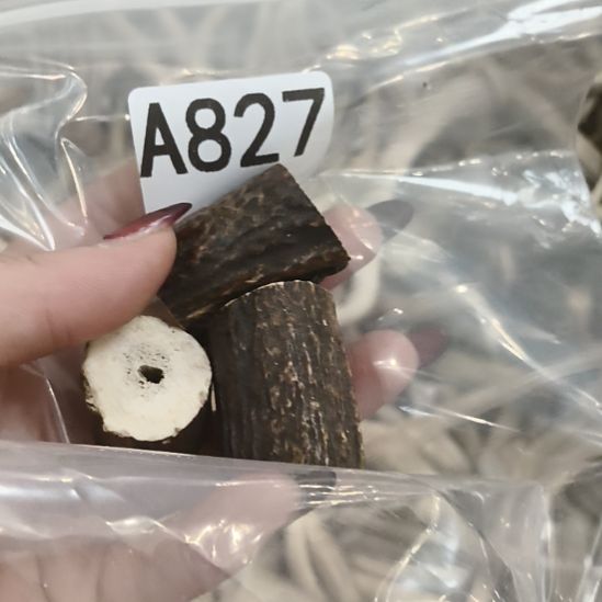 邵***信鹿角鹿角鹿角鹿角鹿鹿