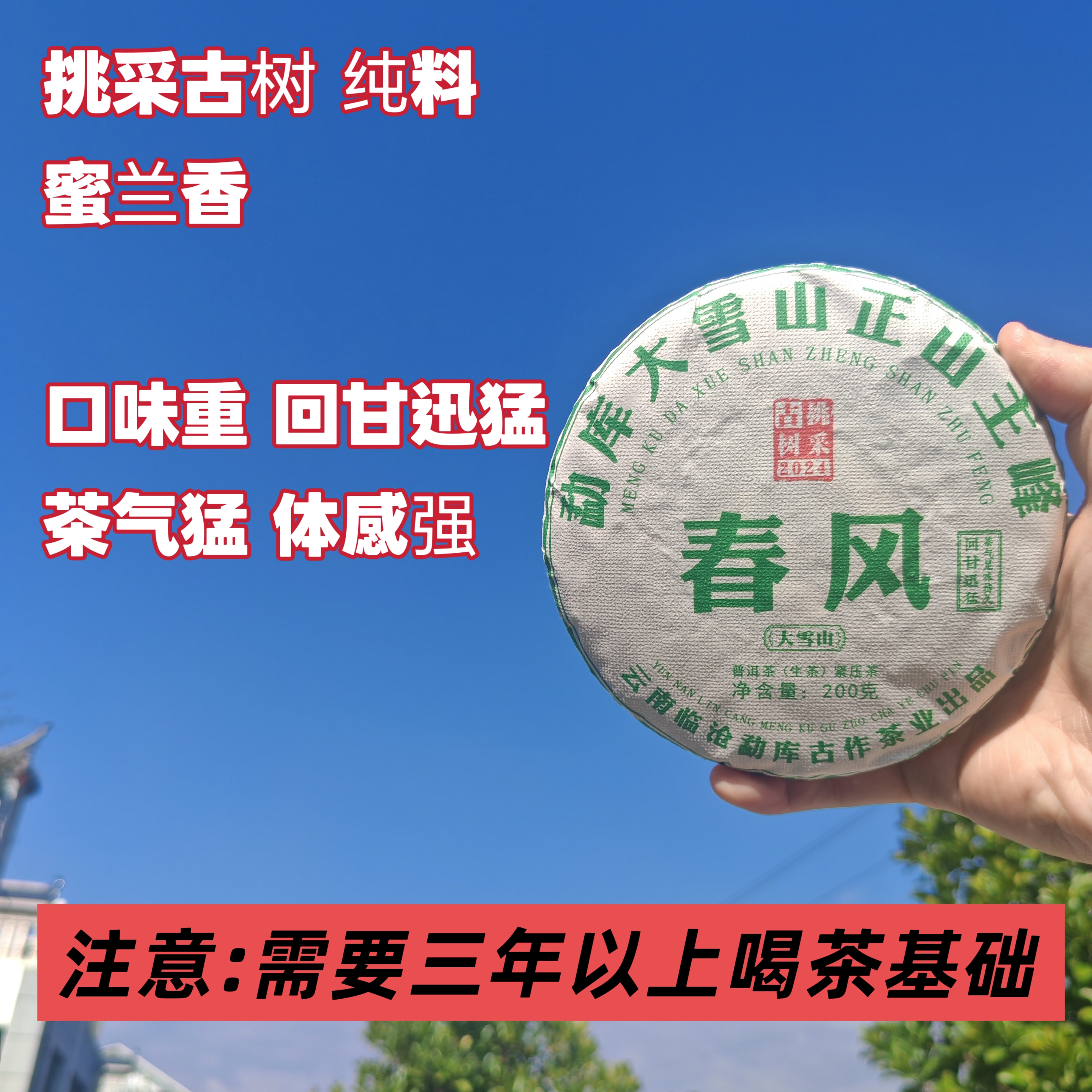 【2024年春风 古树生茶饼】勐库大雪山头春云南普洱茶生茶