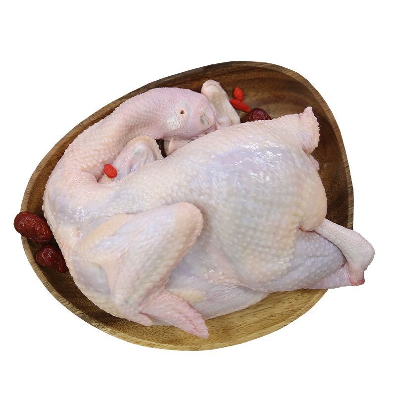 单只老母鸡约1300-1800g