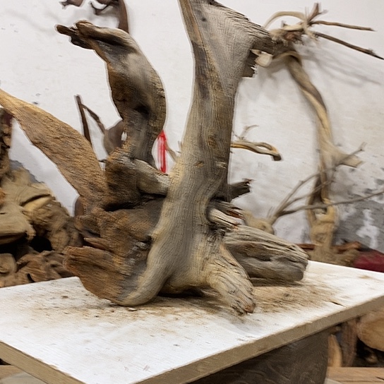 m***w柏木我们都是好孩子