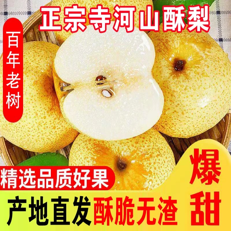 灵宝寺河山2025年无渣酥梨非砀山梨当季新鲜水果带箱10斤现货包邮