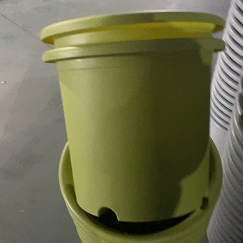 树脂特价6号12个无托果绿