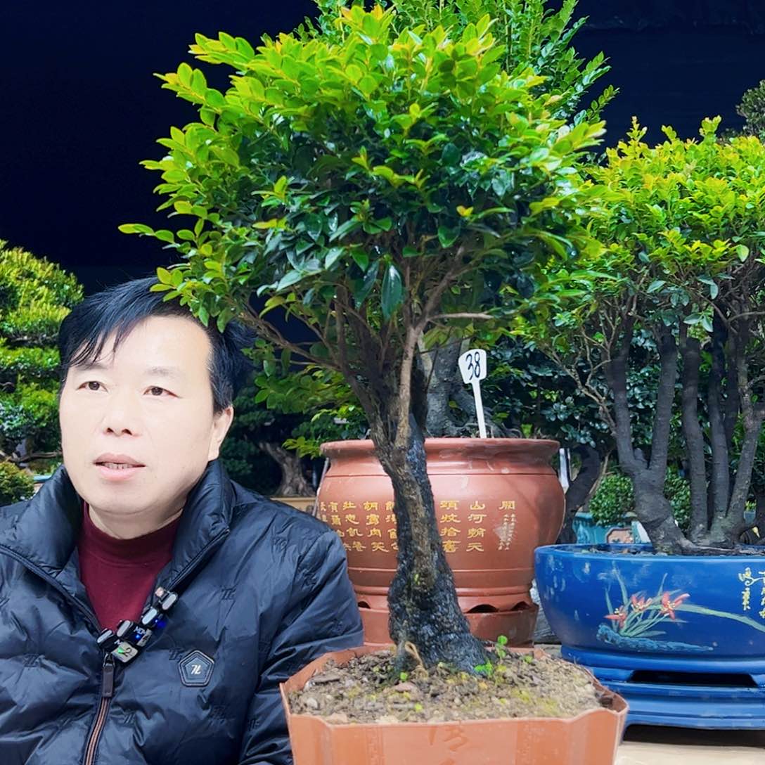 以实际为准烟****那