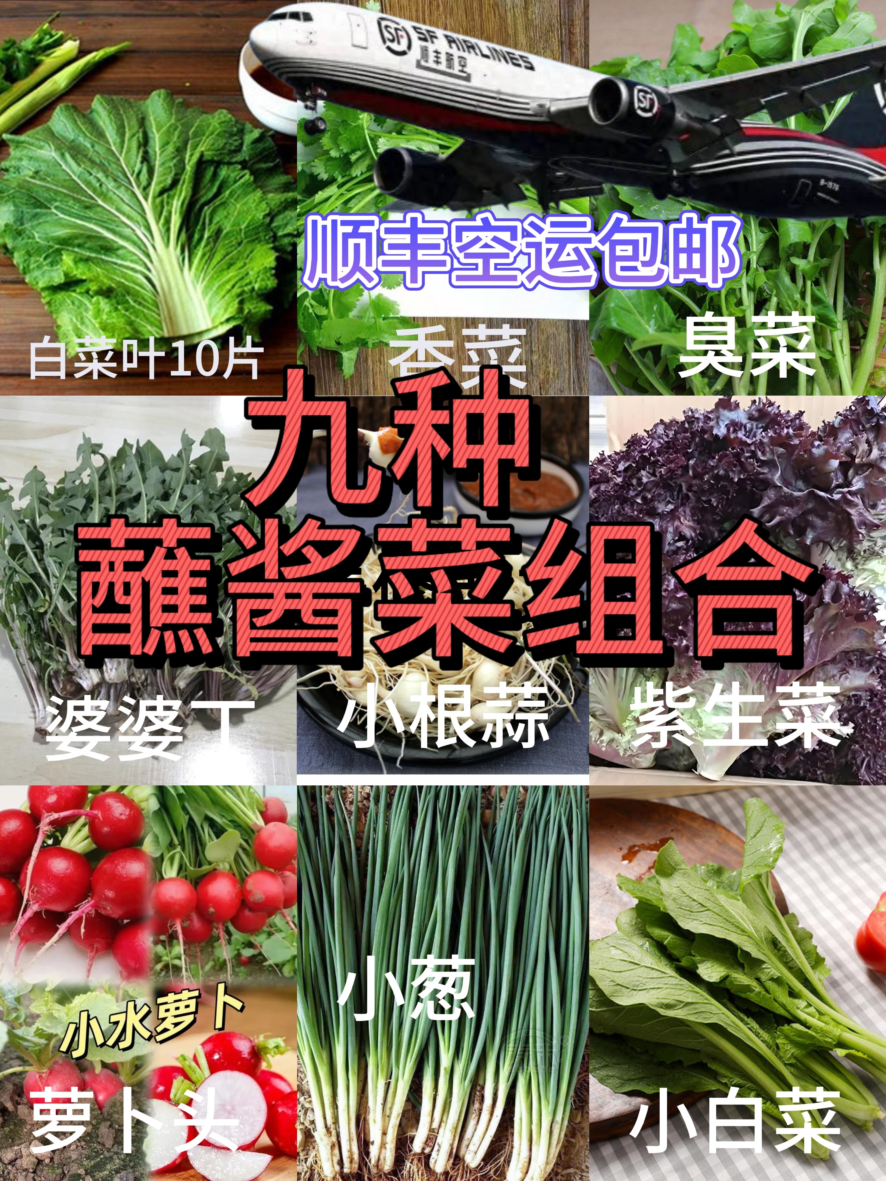 东北新鲜蘸酱小菜9种组合赠送大酱空运包邮