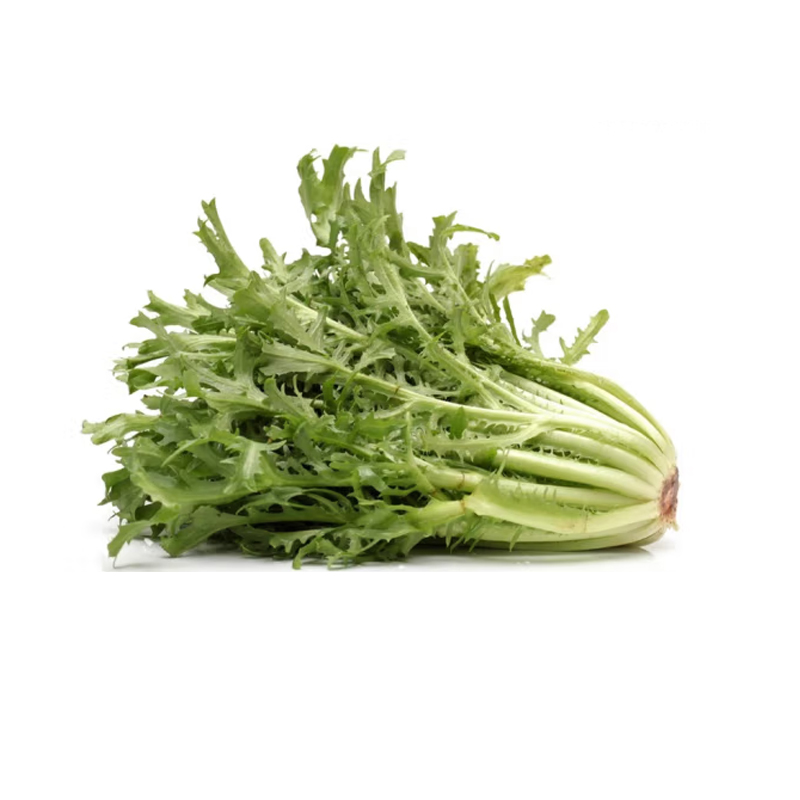 佰蔬冠苦菊（1袋）