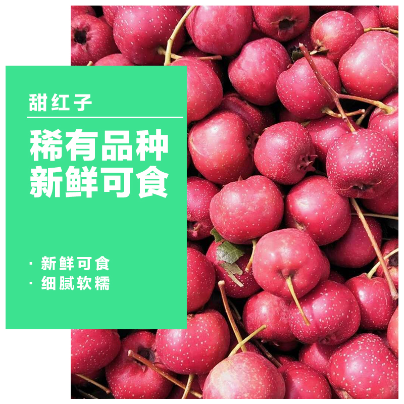 京东生鲜&新鲜山楂果红果山里红酸甜可口开胃甜红子山楂自然熟