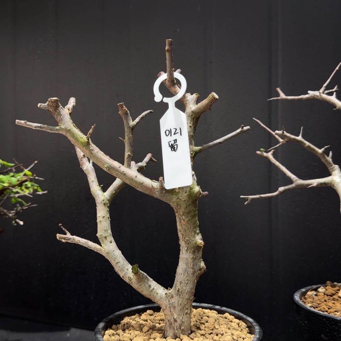 0****绒叶拍了228娜娜链接用了券，补差价170