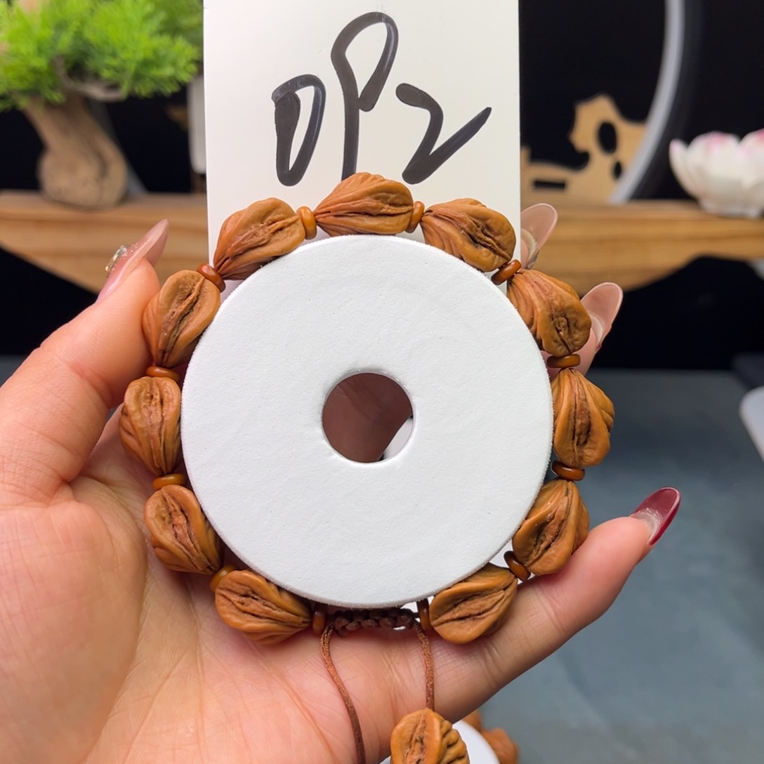 桃核手串14生命之源