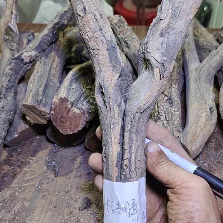 ****࿐火琉璃原杈不保沉水慎拍！