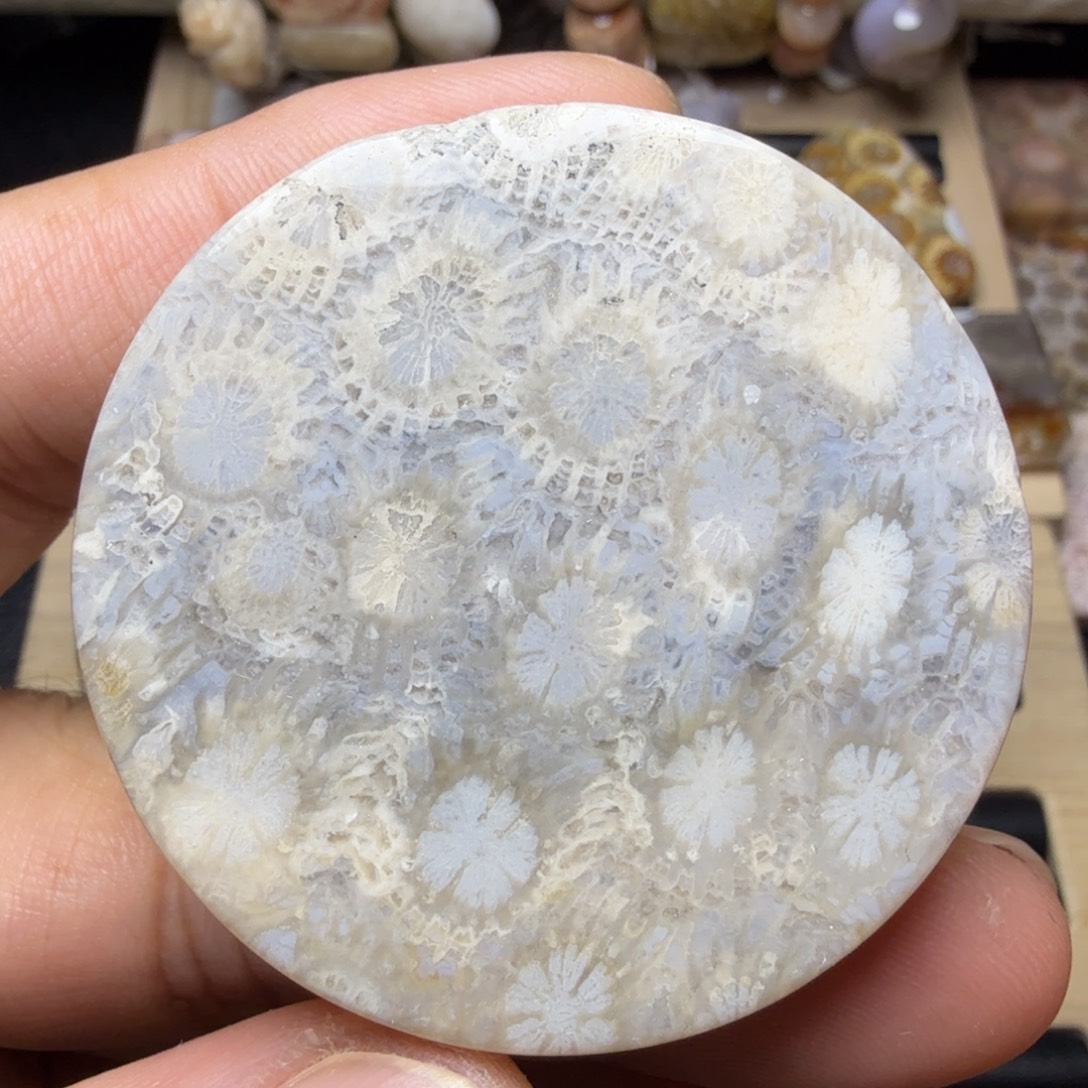 硅化玉未镶嵌手镯芯福利