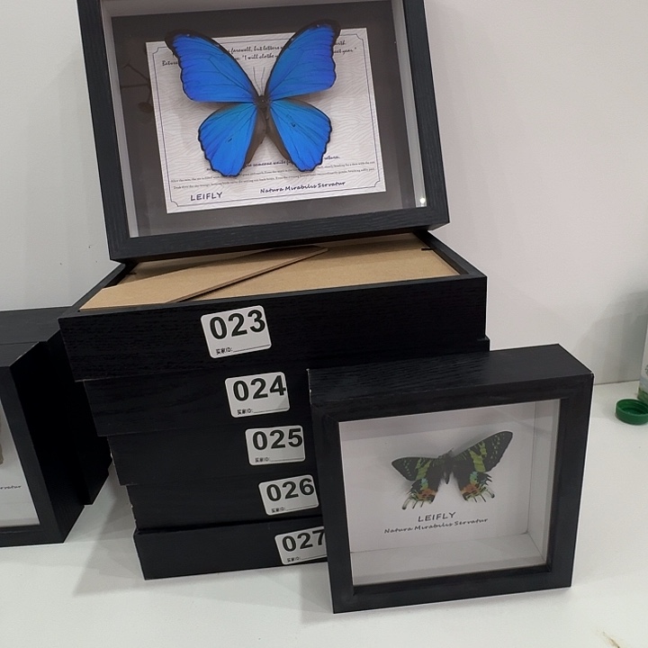 盲盒形式No退No换