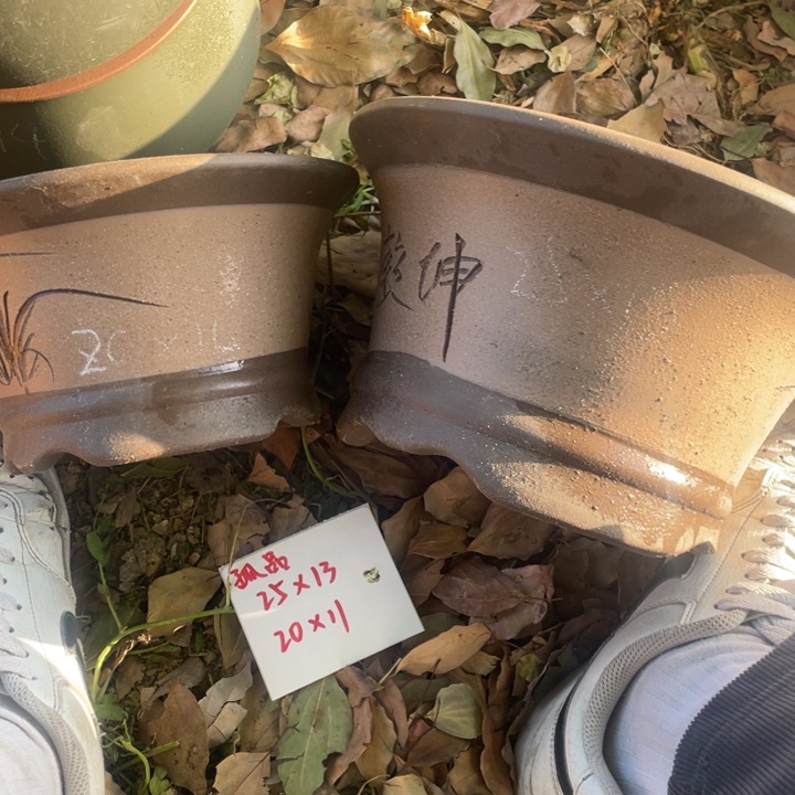 紫砂花盆花盆花盆