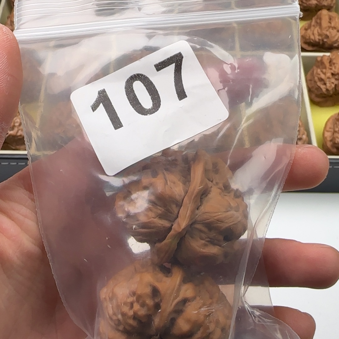 文玩核桃天花板38.5