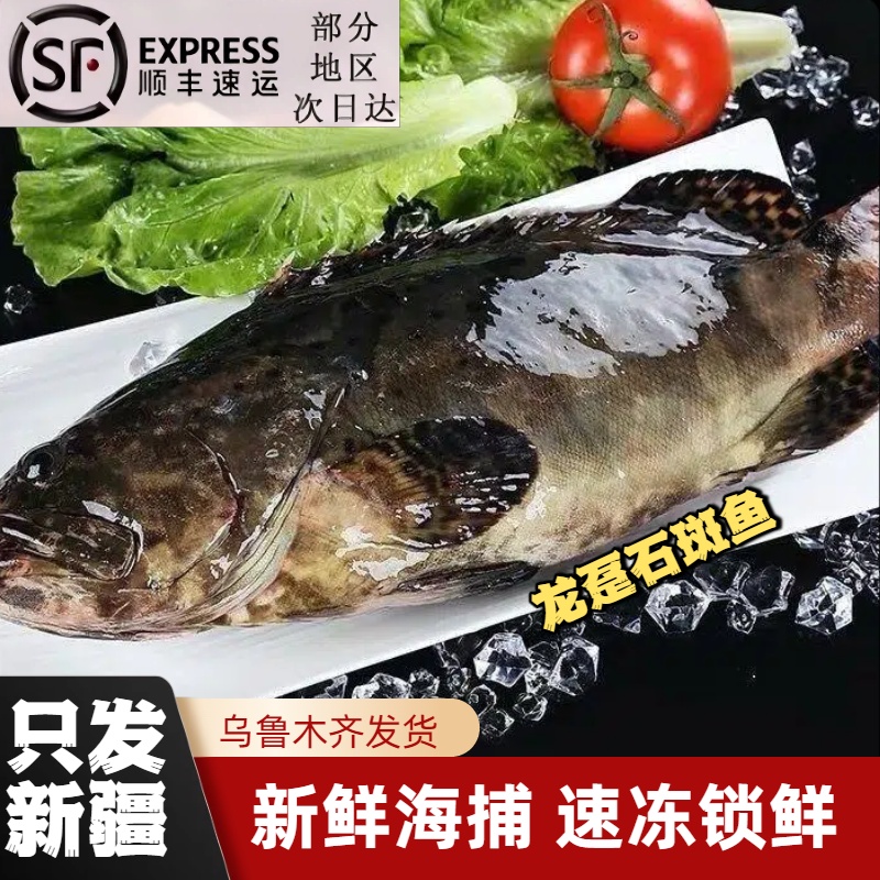 【只发新疆顺丰包邮】海捕活鱼现杀速冻锁鲜深海野生冷冻龙趸石斑鱼