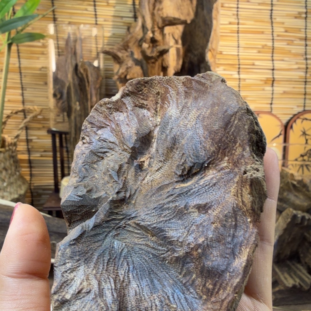 沉香沉香碎屑沉香包头70g