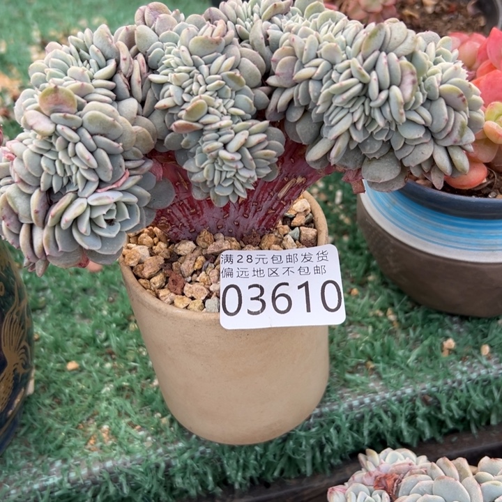 幸运的是我还没遇到过