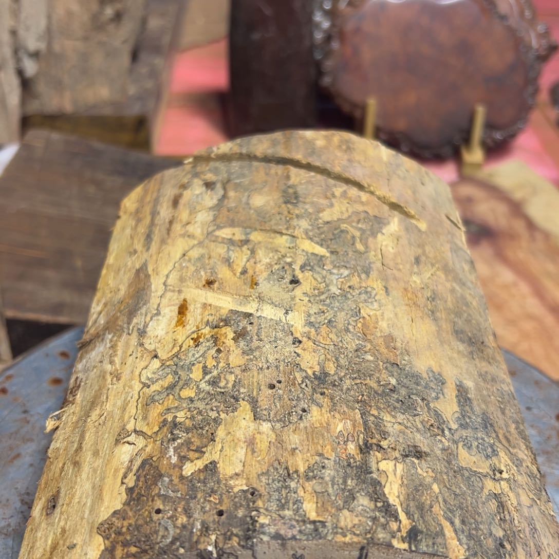 大果紫檀（缅甸花梨）