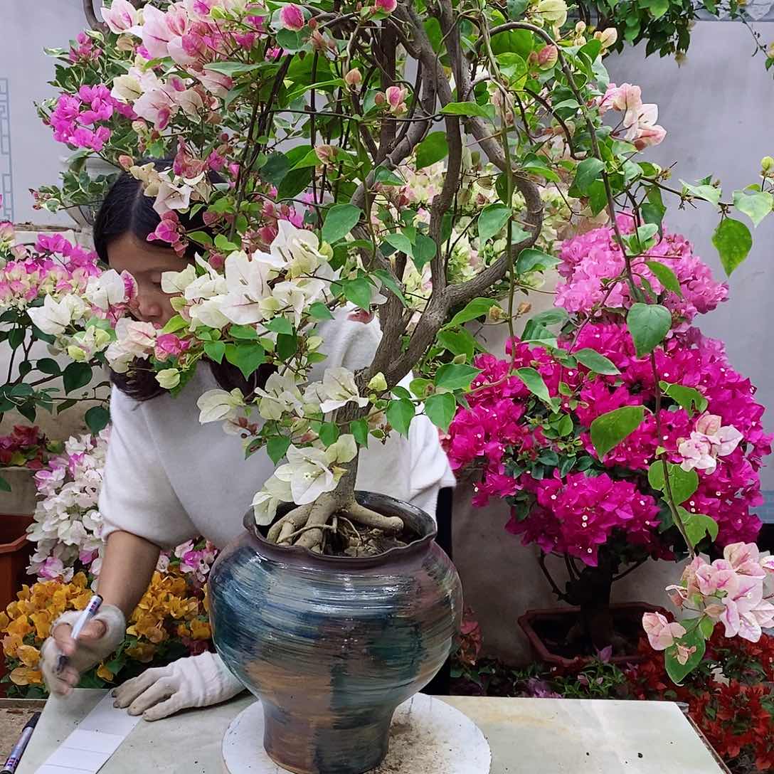 完全开放我要好好学习